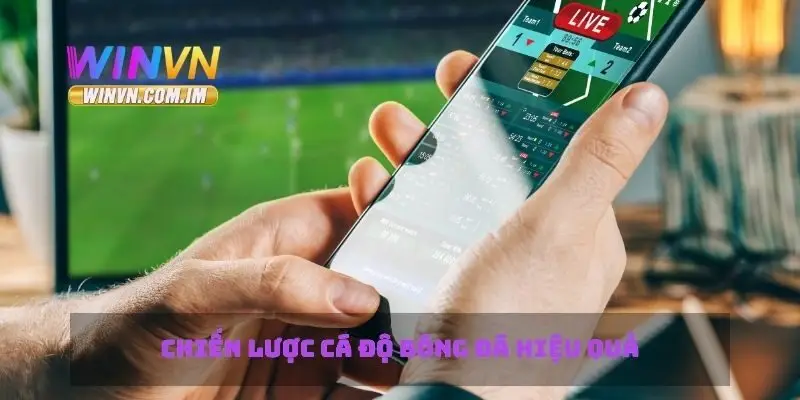 Cá Độ Bóng Đá - Chiến Lược Đặt Cược Hiệu Quả và Thắng Lớn 2 Chiến lược cá độ bóng đá hiệu quả