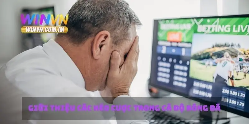 Cá Độ Bóng Đá - Chiến Lược Đặt Cược Hiệu Quả và Thắng Lớn 1 Giới thiệu các kèo cược trong cá độ bóng đá